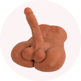 Home Torsos